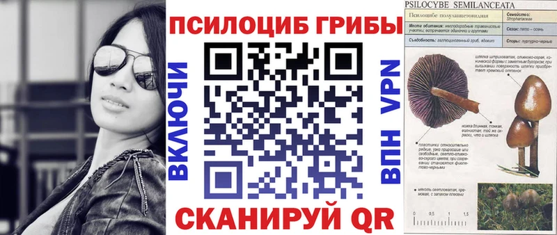 Псилоцибиновые грибы прущие грибы  маркетплейс официальный сайт  Юрюзань 